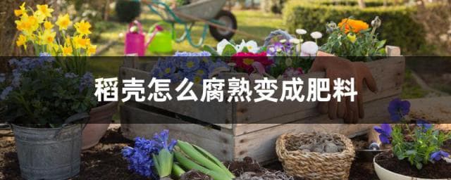 稻壳如何腐熟变成肥料