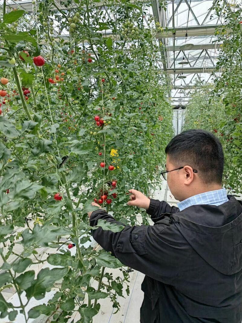江苏扬州：“农业新质生产力”发力，让“奇珍异果”挂满架