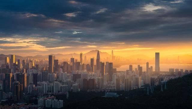 以“五张答卷”“十大行动”，擘画南山发展宏图