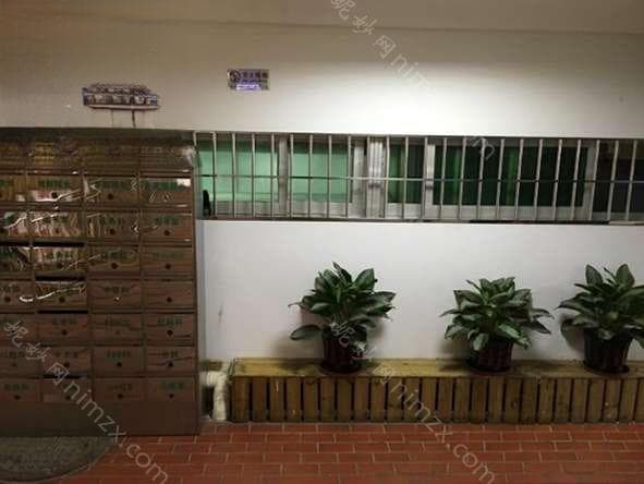 厦门种植牙费用详解及优质口腔医院推荐