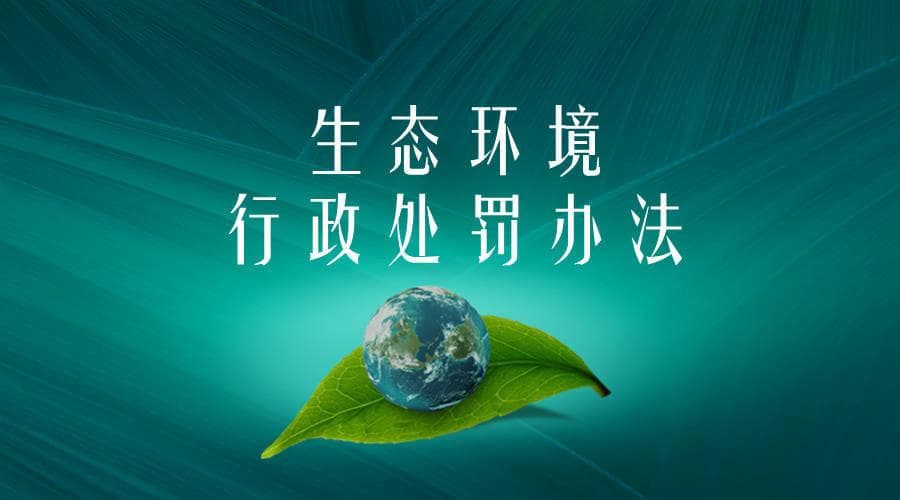 执法人员的责任与规范：公正执法的基石