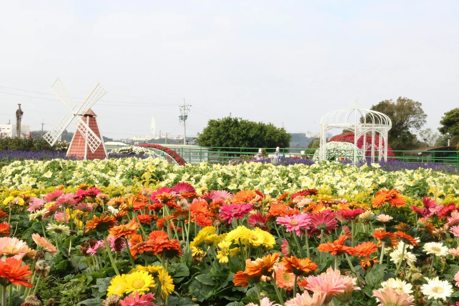 梦里水乡百花园：750亩花海里的四季如春