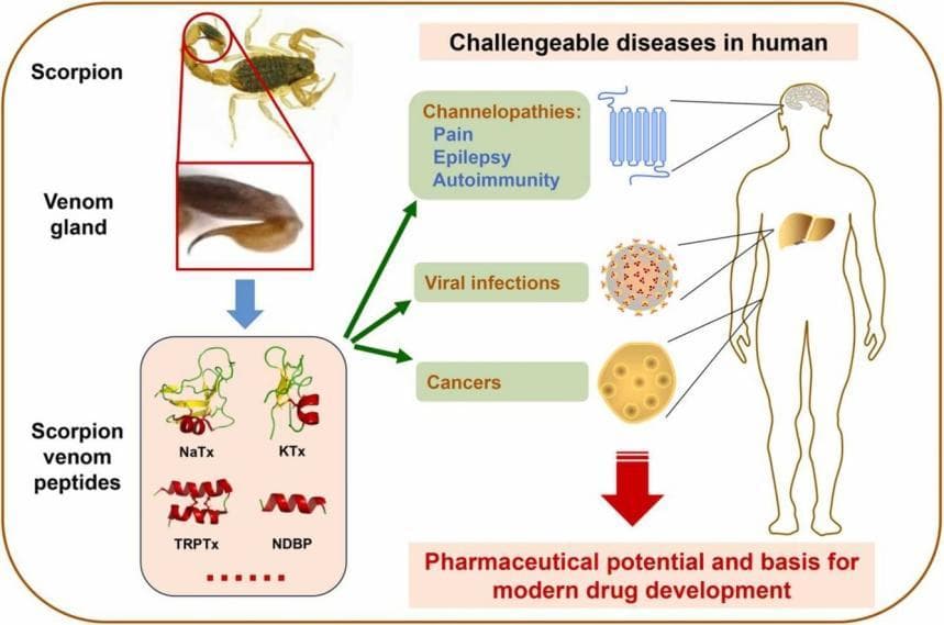 生物毒素助力生物医药研究取得新突破