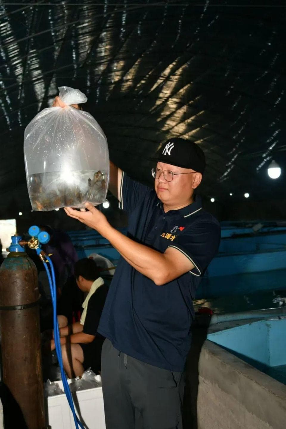 海马能否成为海水养殖新宠？
