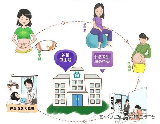 国家基本公卫项目之——孕产妇健康管理