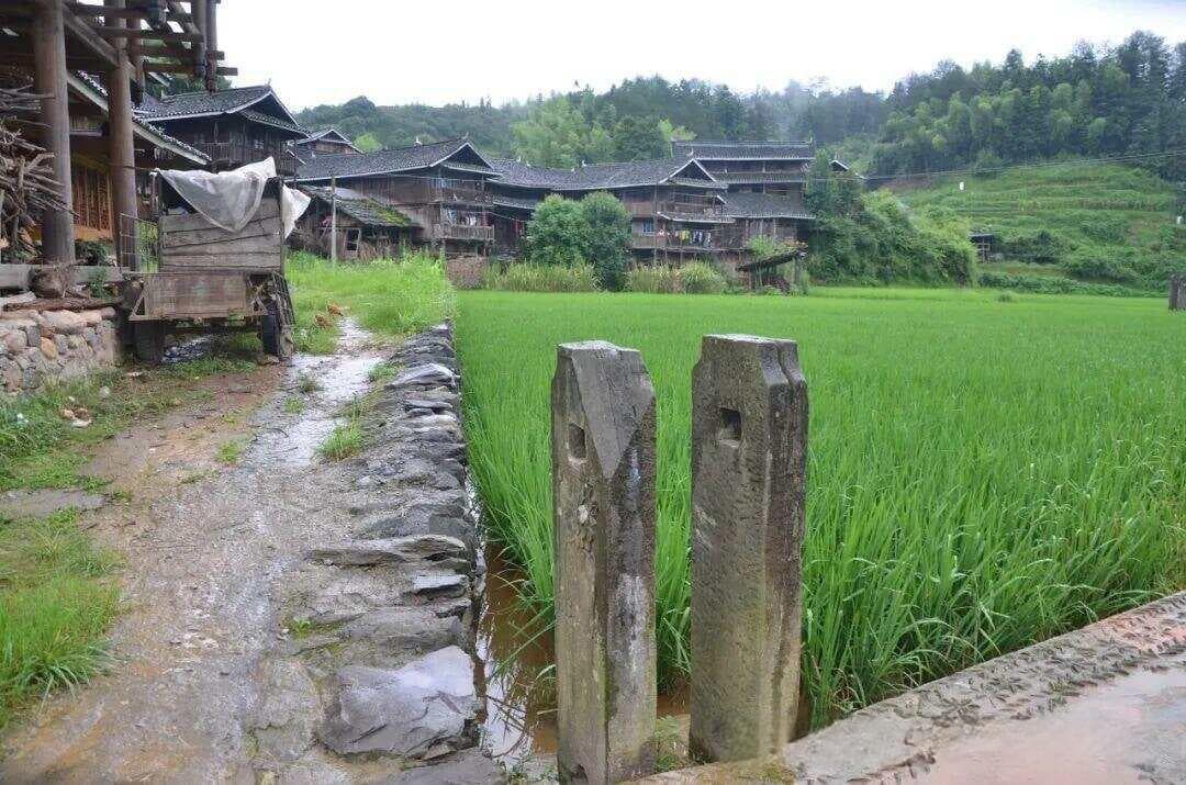 “门前一支香”：丧葬、庙宇禁忌与科举制度的乡村记忆