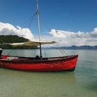 人口出生率全球差异：非洲超50‰，东亚不足13‰