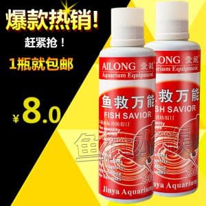 龙鱼起白点用什么药（龙鱼白点病的治疗方法）