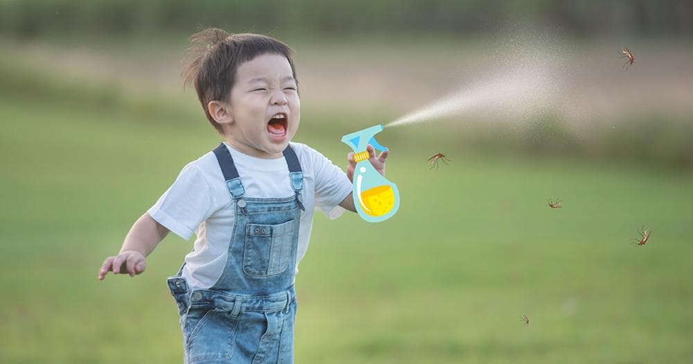 5款天然防蚊精油，户外室内都适用！