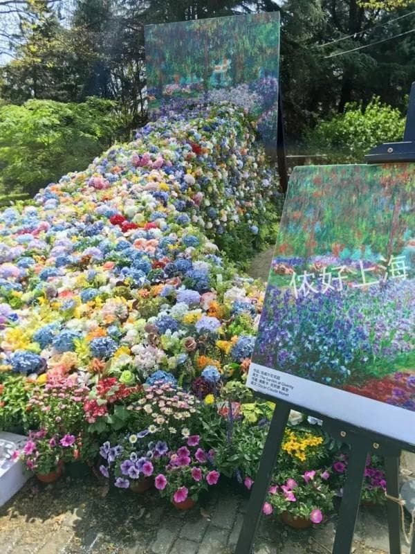 “莫奈花园”惊艳亮相，上海共青森林公园百花展持续至5月