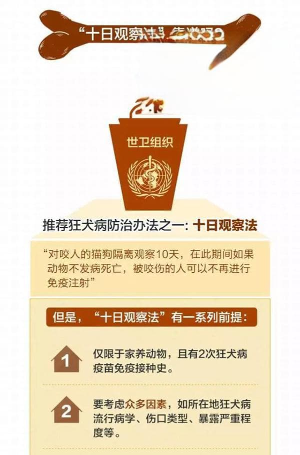 世界狂犬病日｜有关狂犬病的真相：这些问题，你可能还有误解