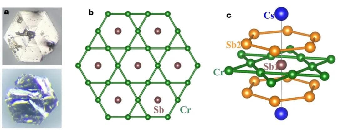 成功合成！浙大关于笼目晶格材料的最新研究登上《自然》