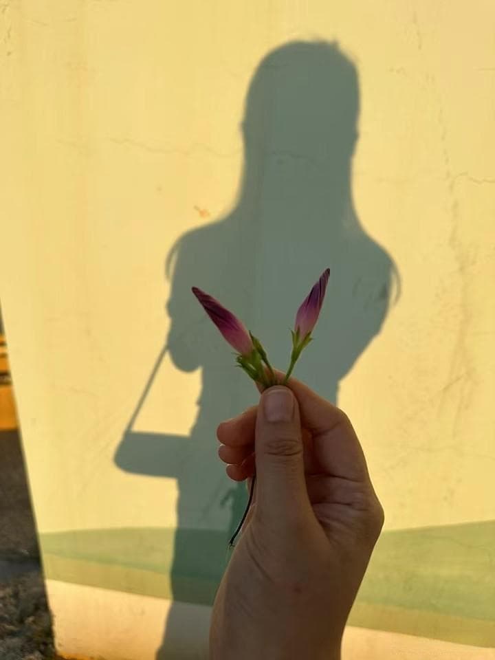 高学历的他们，困在婚恋里