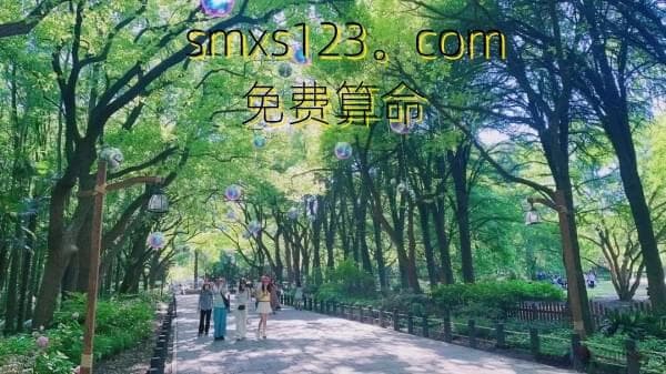 八字分析：中国传统算命方法之一，涉及出生年月日时的分析。