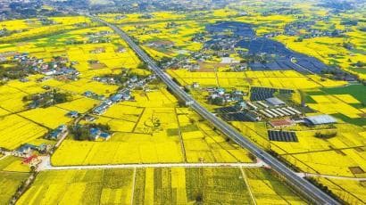 绵阳"四好农村路"：10年新改建1.47万公里，创新"路长制"带动乡村振兴
