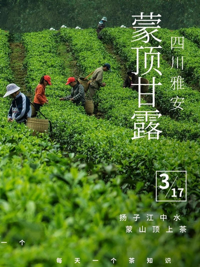 蒙顶山茶叶的历史，探寻四川茶文化的源头
