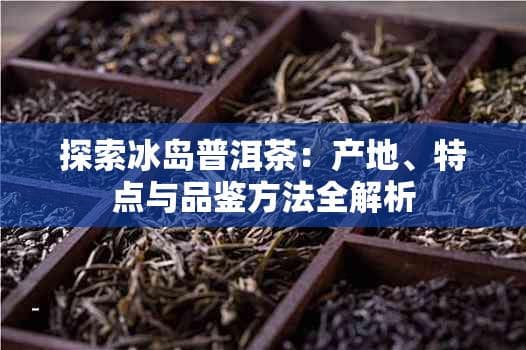 探索冰岛普洱茶：产地、特点与品鉴方法全解析