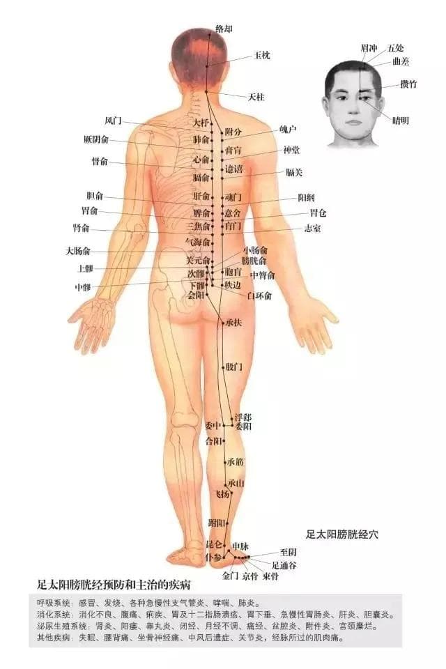 透过穴位名称领略中医文化