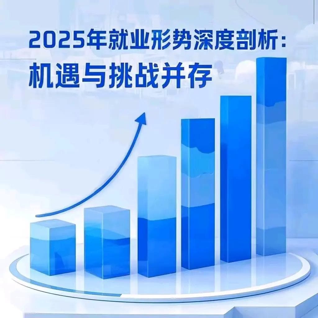 2025年就业形势深度剖析：机遇与挑战并存
