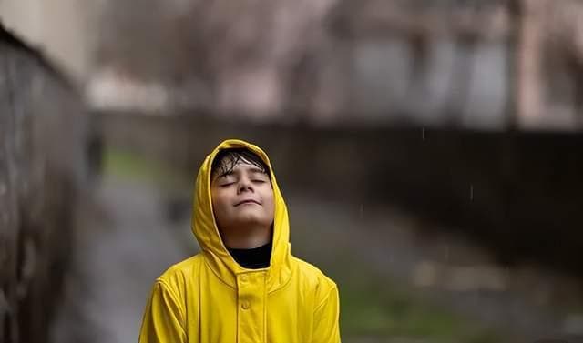 如何在忙碌中保持家庭和谐，减少内耗