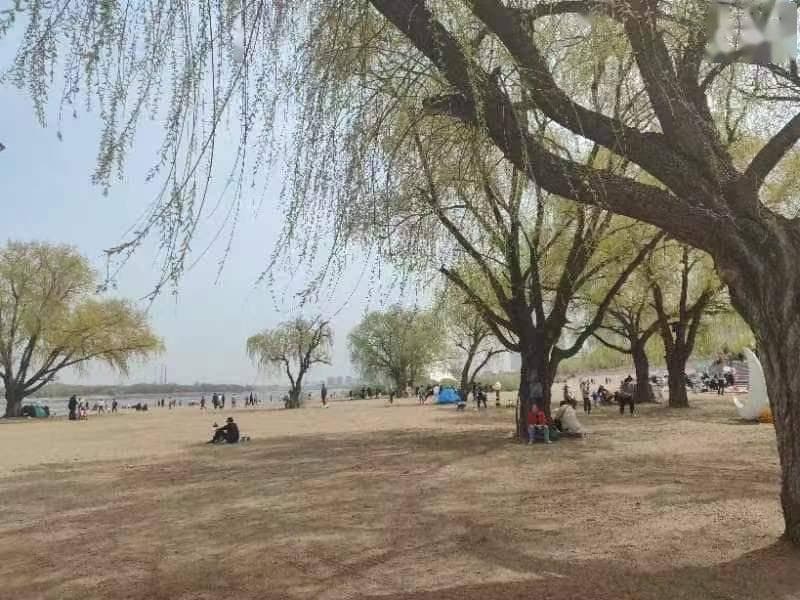 为什么新车现在都加0W-20，甚至粘度更低的机油，你知道原因吗？
