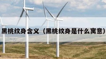 黑桃纹身含义（黑桃纹身是什么寓意）
