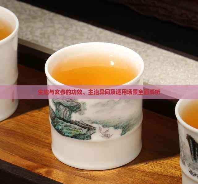 生地与玄参的功效、主治异同及适用场景全面解析