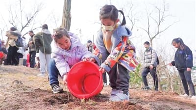 500架无人机打造"义务植树星空秀"