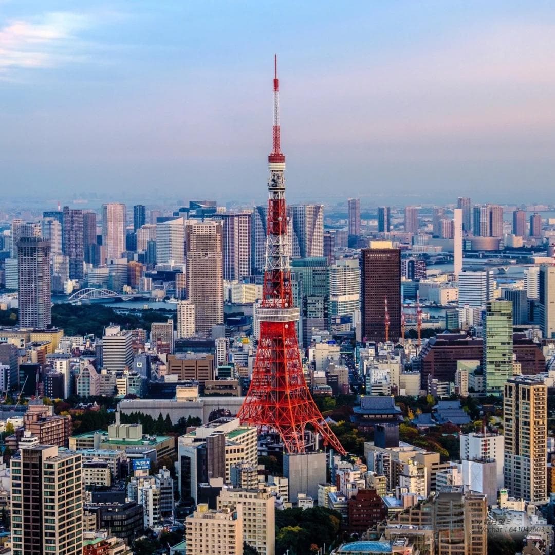 最新日本入境流程！建议收藏~