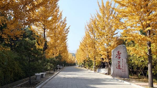 当白事遇到红事，应该谁先避让？