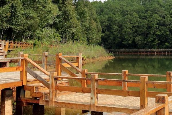 普洱梅子湖：水库变身城市公园，湖景赏梅两相宜