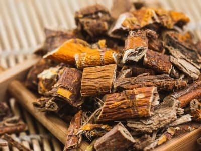 桑根白皮：传统中药材的多重功效与应用