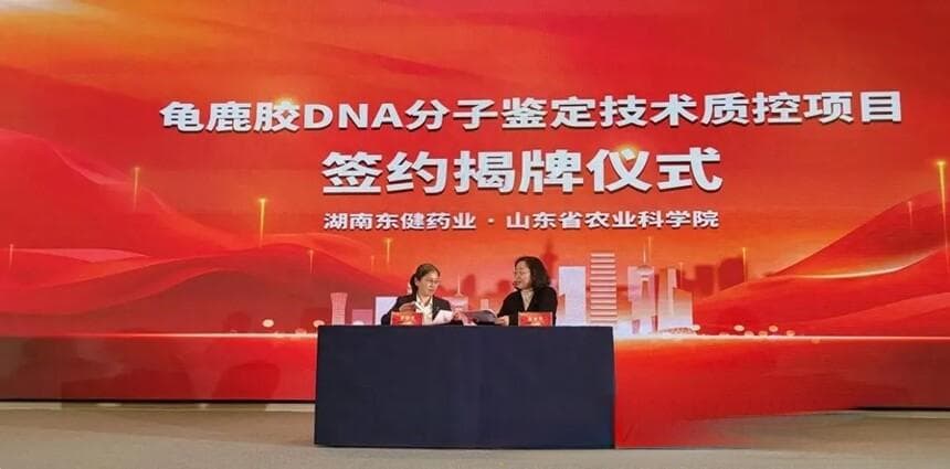 我国首次将DNA分子鉴定技术应用于龟鹿胶产品质控