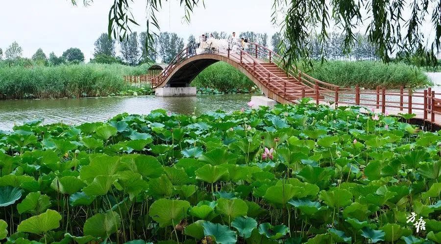 解码淄博烧烤之二：迅速走红背后的区域经济学分析