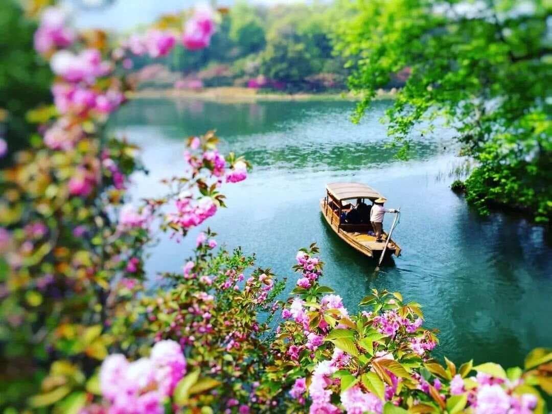 “直抒胸臆”写作十二条方式方法，以赤诚的文字打动读者