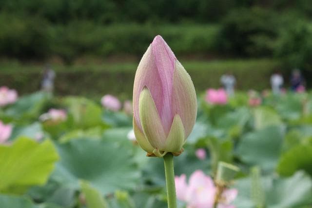 八个泡脚方法驱寒补虚