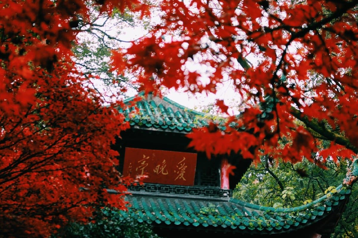 岳麓山红叶观赏攻略（时间+路线+门票预约）