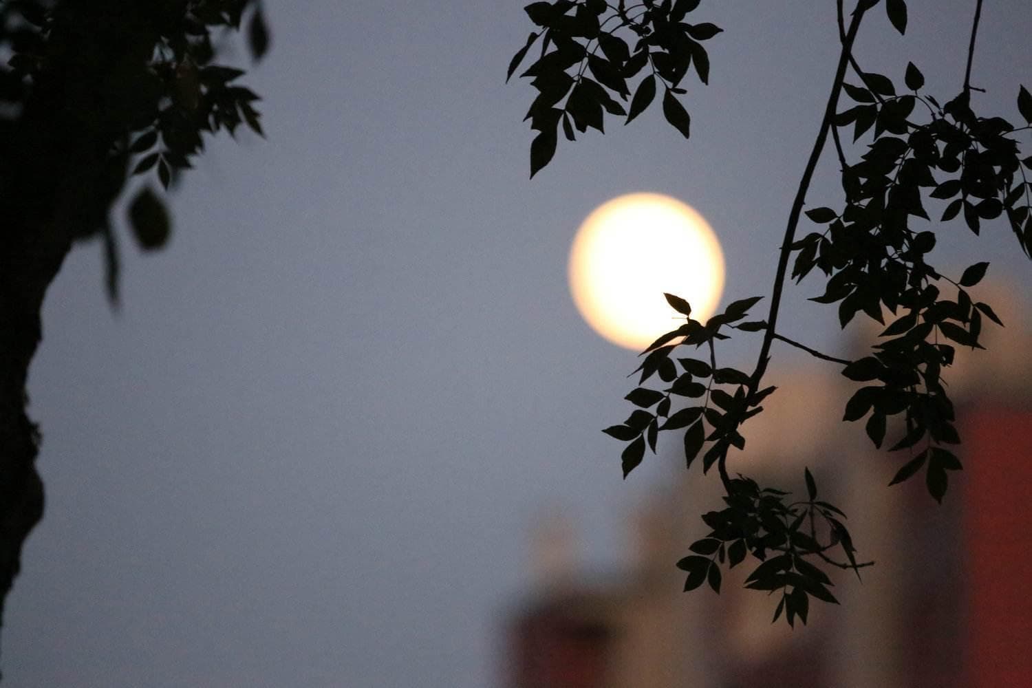 但愿长圆如此夜：夜的沉思与人生祈愿