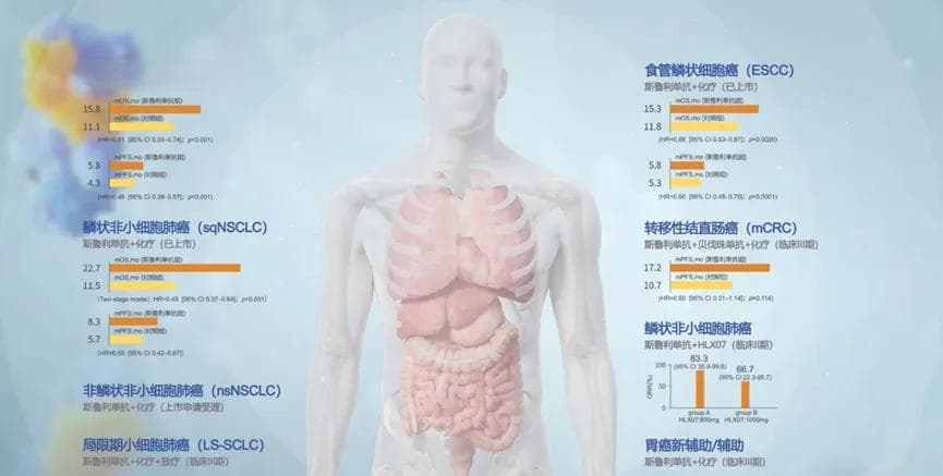 免疫检查点：开启肿瘤免疫治疗新纪元