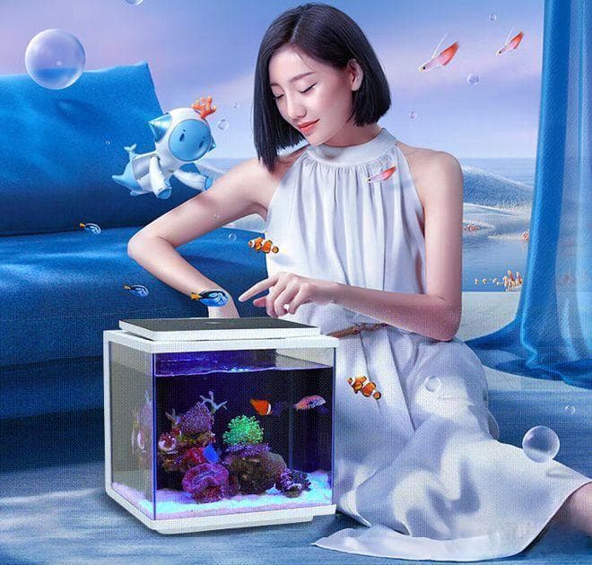 家用鱼缸如何选择？七个要点来帮你！