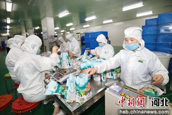河北廊坊：特色产业集群成为县域高质量发展“主引擎”