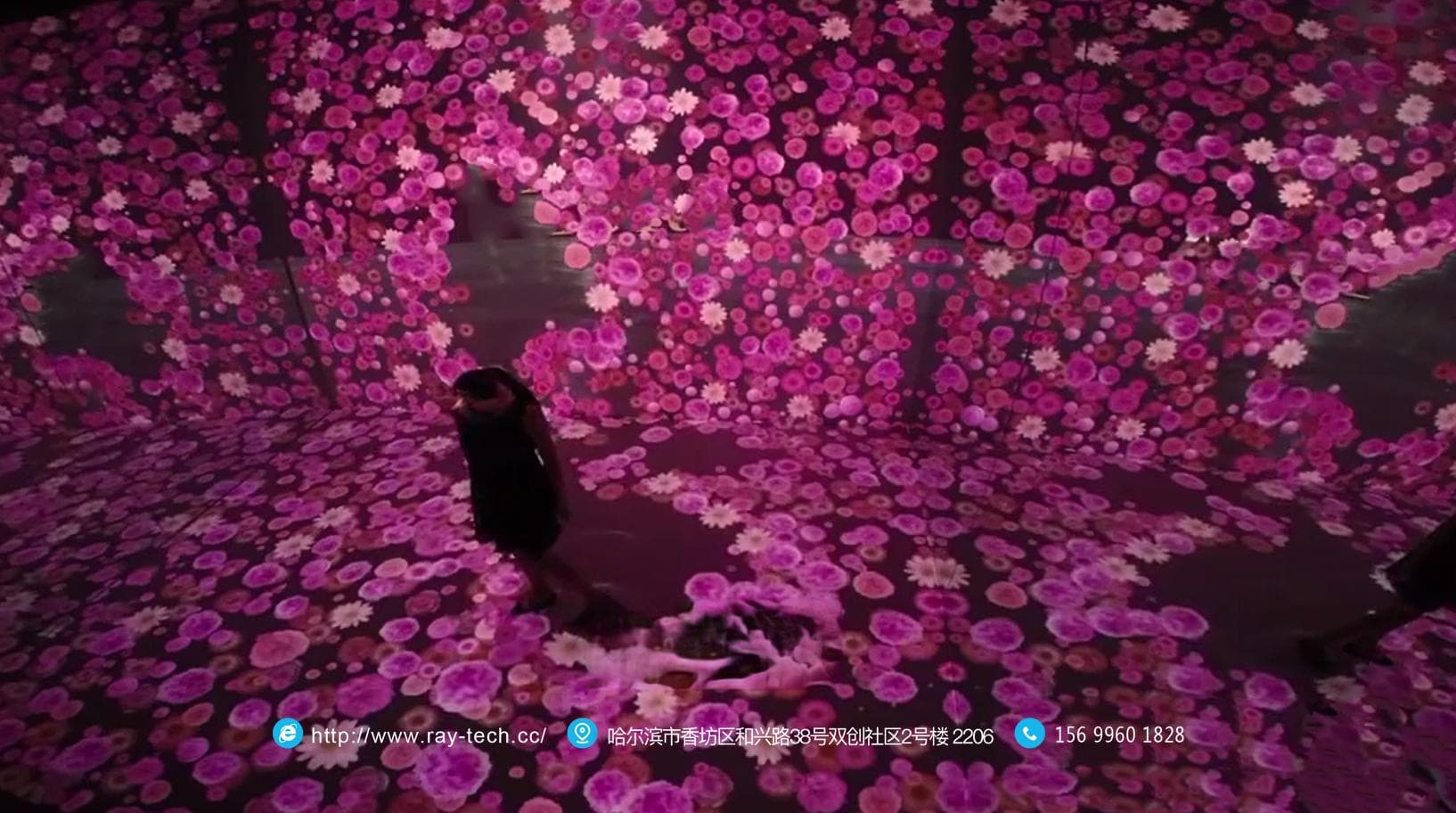 沉浸式展览：美到窒息的花海，竟是高科技的产物