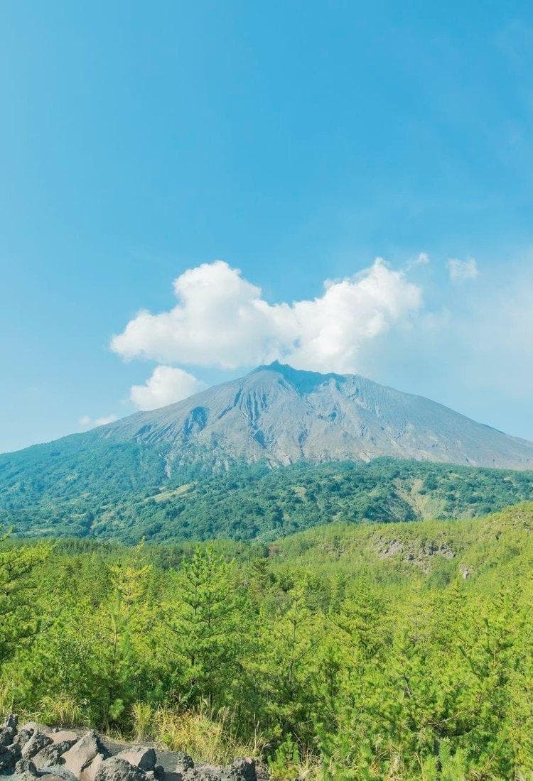 九州鹿儿岛：古老森林与巨大火山