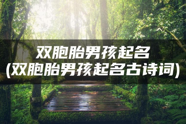 双胞胎男孩起名：8种方法打造富有文化底蕴的好名字