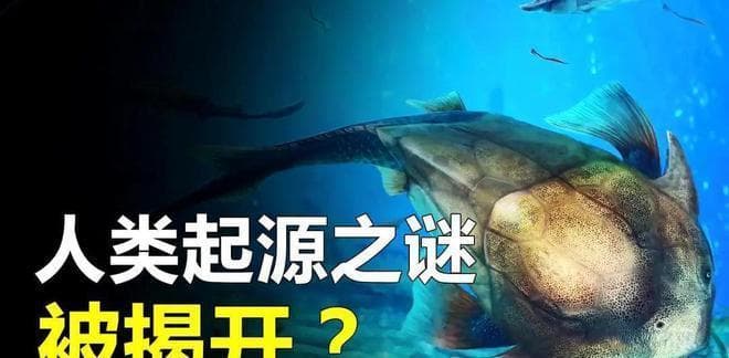 从鱼到人的关键证据！四亿年前，我们的祖先竟然爬上了陆地！