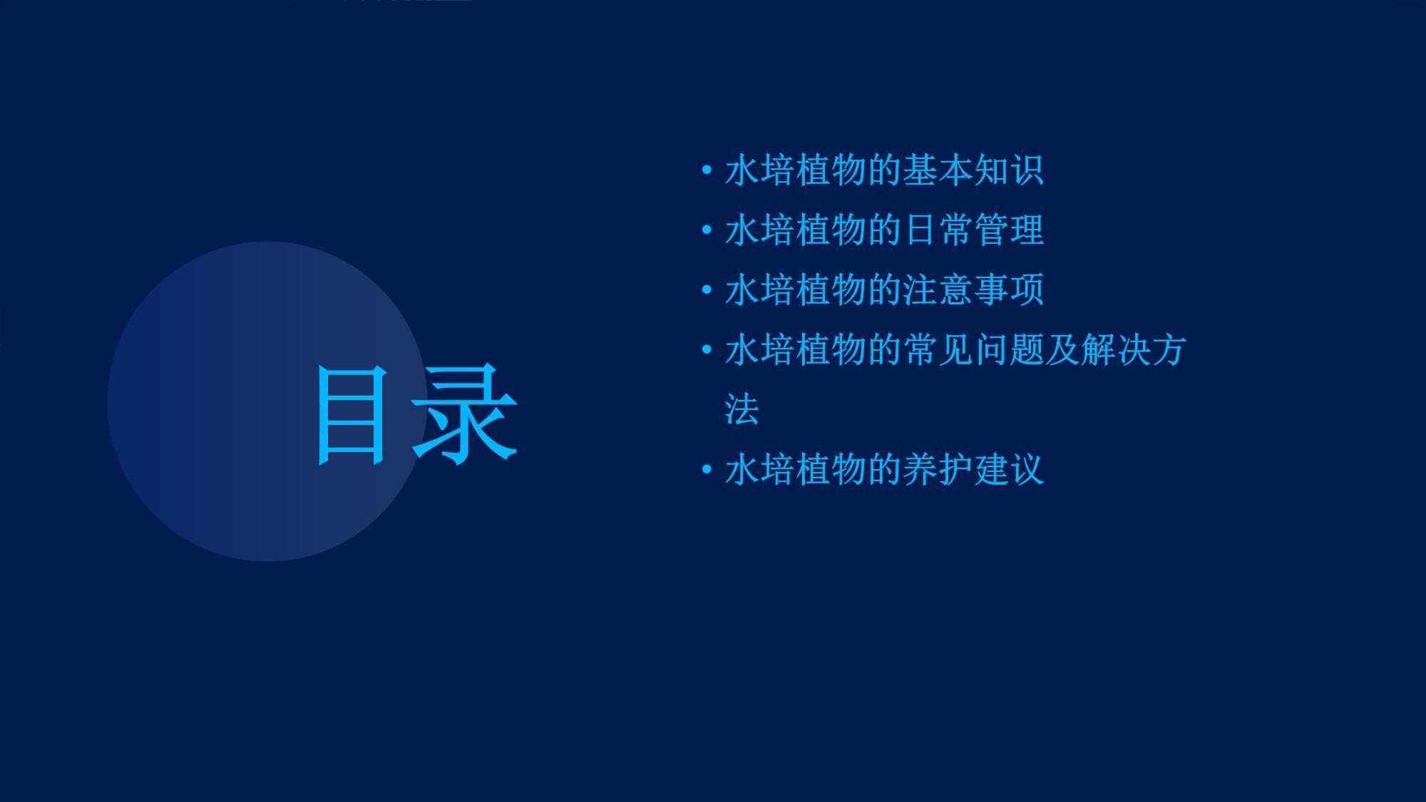 水培植物的日常管理方法和注意事项