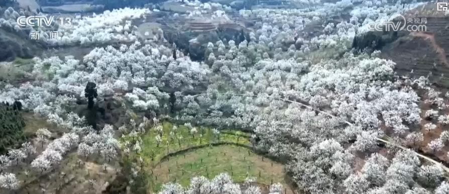 春暖花开景如画 多地赏花游激活乡村旅游经济