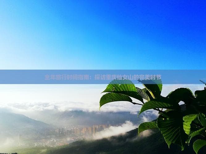 全年旅行时间指南：探访重庆仙女山的完美时节