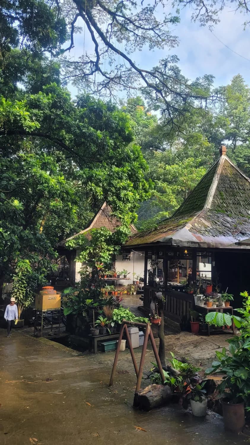 铁岗社区新春变身网红打卡地！