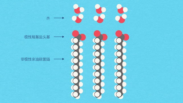 一篇文章让你了解什么是离子对色谱（IPC）